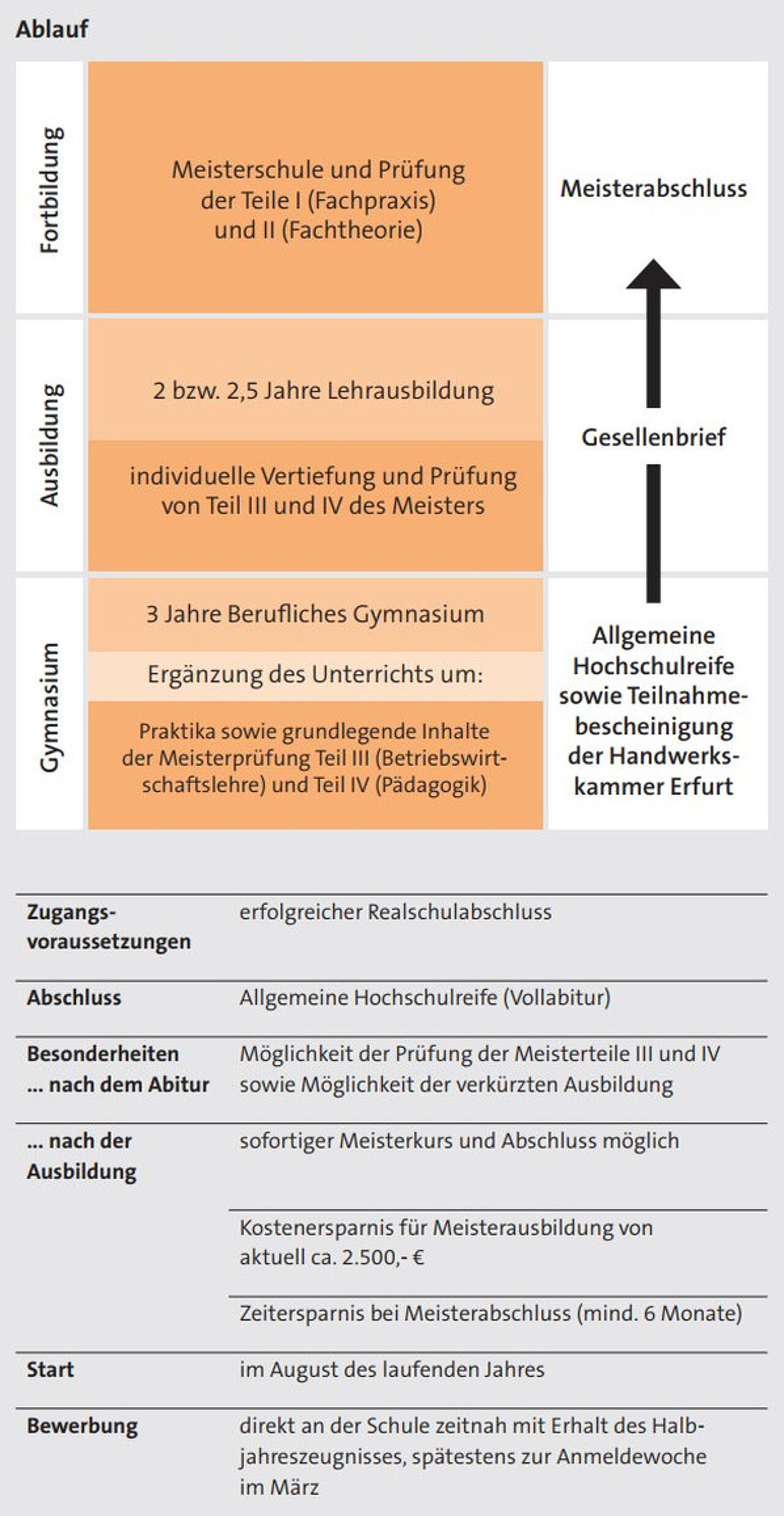 Schaubild zum Handwerkergymnasium mit dem Bildungsweg vom beruflichen Gymnasium über die verkürzte Berufsausbildung bis zum Meisterabschluss.